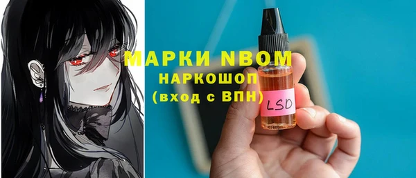 твердый Арсеньев