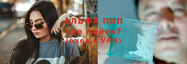 твердый Арсеньев