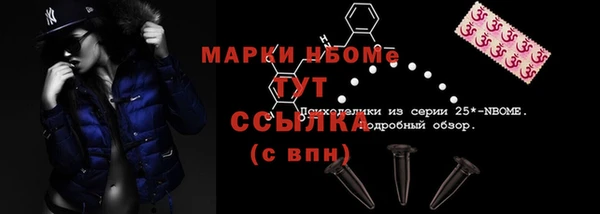твердый Арсеньев